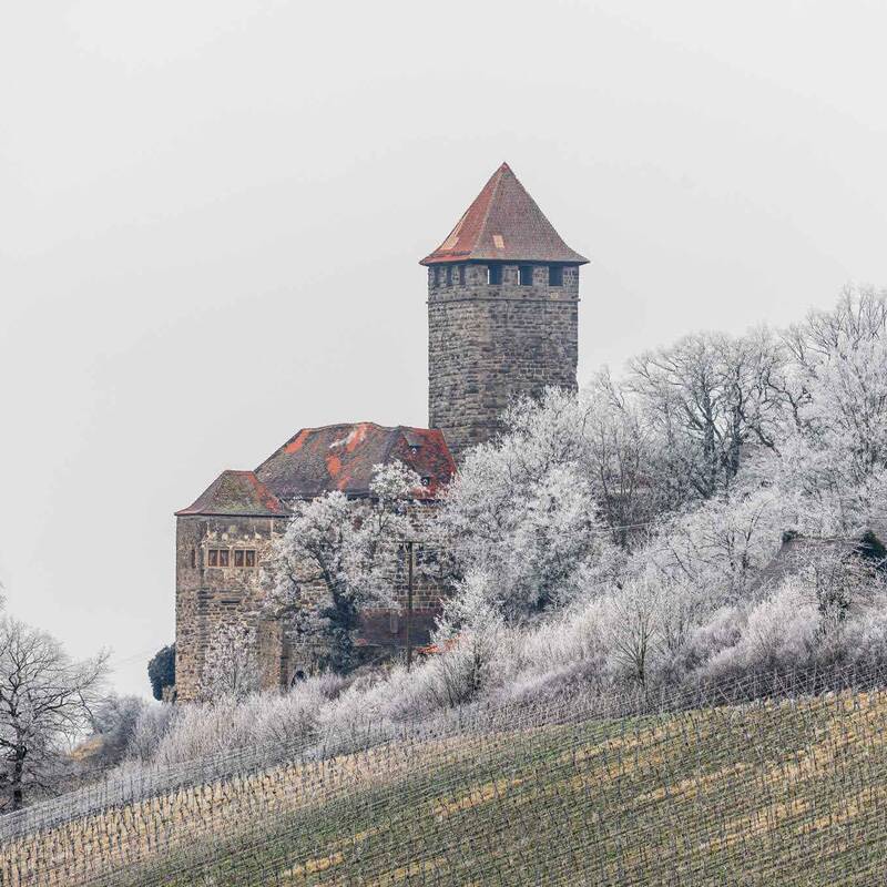 Die Burg Lichtenberg winterlich im Raureif grauer Himmel und weiße Sträucher