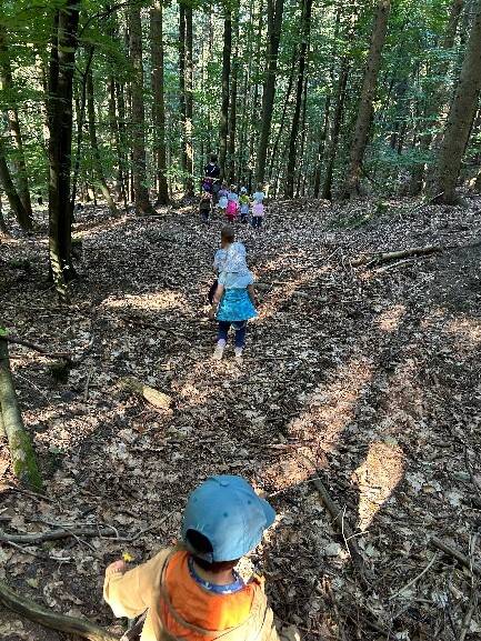 Bild von einigen Kindern aus dem Wald.