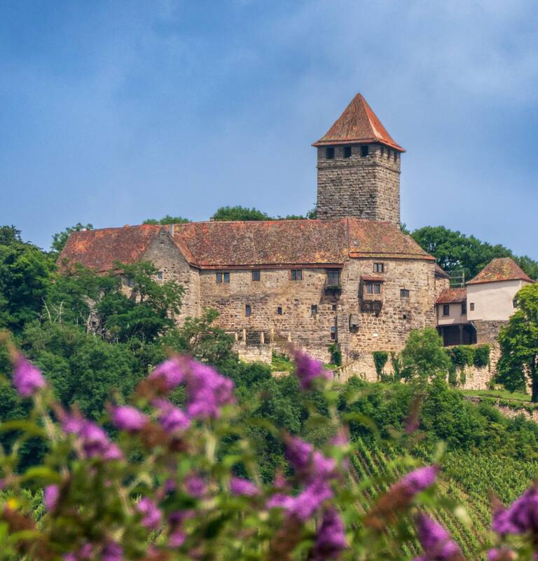 Die Burg Lichtenberg mit blauen Himmel im Hintergrund und Sommerflieder im Vordergrund